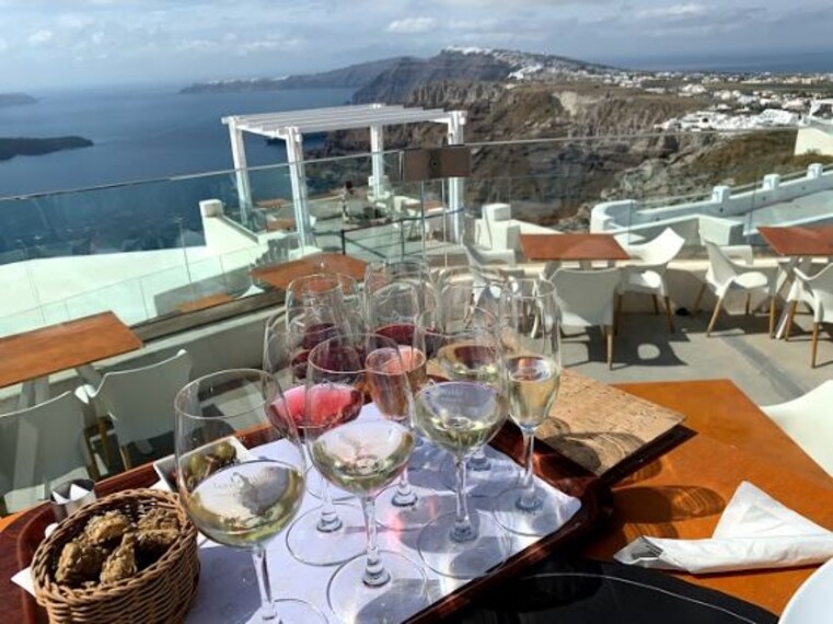 Wineries and Vineyards-2